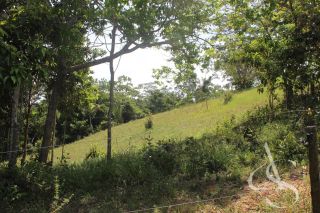 Sítio beira Barragem Santa Helena – 20,1 ha estruturados, casa sede charmosa e energia solar – Mata de São João – R$ 1.300.000