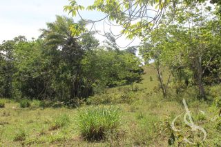 Sítio beira Barragem Santa Helena – 20,1 ha estruturados, casa sede charmosa e energia solar – Mata de São João – R$ 1.300.000