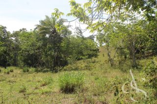 Sítio beira Barragem Santa Helena – 20,1 ha estruturados, casa sede charmosa e energia solar – Mata de São João – R$ 1.300.000