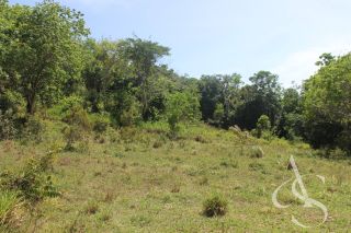 Sítio beira Barragem Santa Helena – 20,1 ha estruturados, casa sede charmosa e energia solar – Mata de São João – R$ 1.300.000