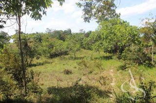 Sítio beira Barragem Santa Helena – 20,1 ha estruturados, casa sede charmosa e energia solar – Mata de São João – R$ 1.300.000