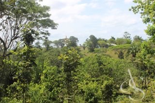 Sítio beira Barragem Santa Helena – 20,1 ha estruturados, casa sede charmosa e energia solar – Mata de São João – R$ 1.300.000