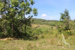 Sítio beira Barragem Santa Helena – 20,1 ha estruturados, casa sede charmosa e energia solar – Mata de São João – R$ 1.300.000