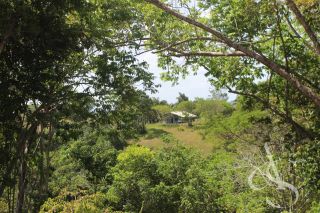 Sítio beira Barragem Santa Helena – 20,1 ha estruturados, casa sede charmosa e energia solar – Mata de São João – R$ 1.300.000