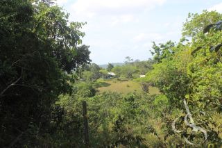 Sítio beira Barragem Santa Helena – 20,1 ha estruturados, casa sede charmosa e energia solar – Mata de São João – R$ 1.300.000