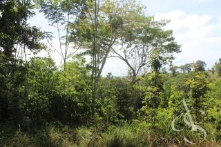 Sítio beira Barragem Santa Helena – 20,1 ha estruturados, casa sede charmosa e energia solar – Mata de São João – R$ 1.300.000