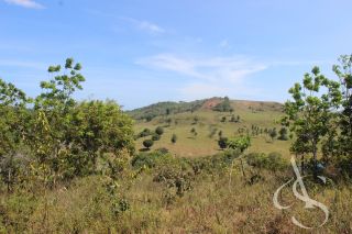 Sítio beira Barragem Santa Helena – 20,1 ha estruturados, casa sede charmosa e energia solar – Mata de São João – R$ 1.300.000