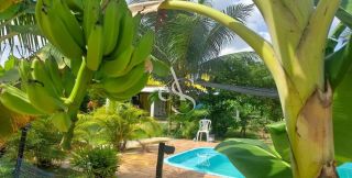 Sítio 3.080 m² completo em Jambeiro – Casa 4/4 com suíte, piscina e pomar formado – Lauro de Freitas – R$ 330.000