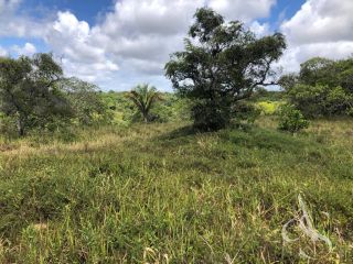 Grande Área Escriturada com 22.000 m² em Quingoma – Lauro de Freitas | Ideal para Loteamento e Empreendimentos