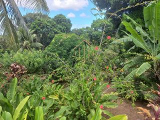 EXCELENTE CHÁCARA com 6.427 m² de área verde, em Cassange, divisa de Salvador e Lauro de Freitas