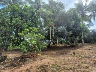 EXCELENTE CHÁCARA com 6.427 m² de área verde, em Cassange, divisa de Salvador e Lauro de Freitas