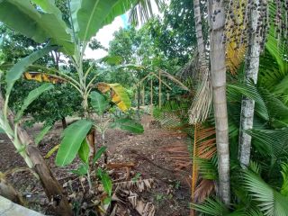 EXCELENTE CHÁCARA com 6.427 m² de área verde, em Cassange, divisa de Salvador e Lauro de Freitas