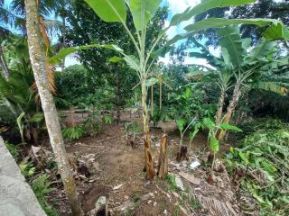 EXCELENTE CHÁCARA com 6.427 m² de área verde, em Cassange, divisa de Salvador e Lauro de Freitas