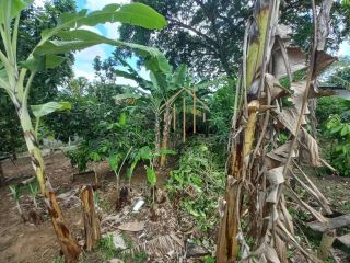 EXCELENTE CHÁCARA com 6.427 m² de área verde, em Cassange, divisa de Salvador e Lauro de Freitas