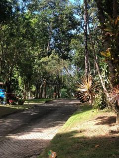 Mata de São João, Açu da Torre, Excelente.
