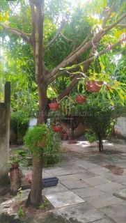 CASA CONDOMÍNIO 4/4 CENTRO - LAURO DE FREITAS