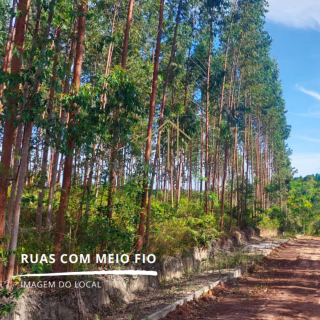 Maravilhoso Loteamento Cachoeiras do Sauipe