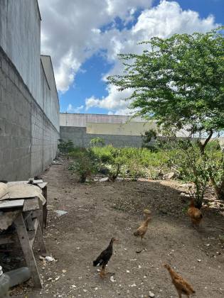 TERRENO NO BAIRRO MUCHILA