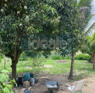 Fazenda em São Gonçalo