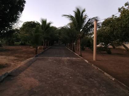 Chácara em Feira De Santana-Ba