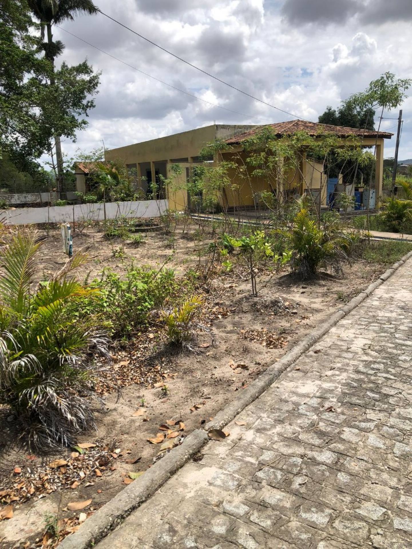 Vendo chácara no povoado cajueiro - Itabaiana/SE