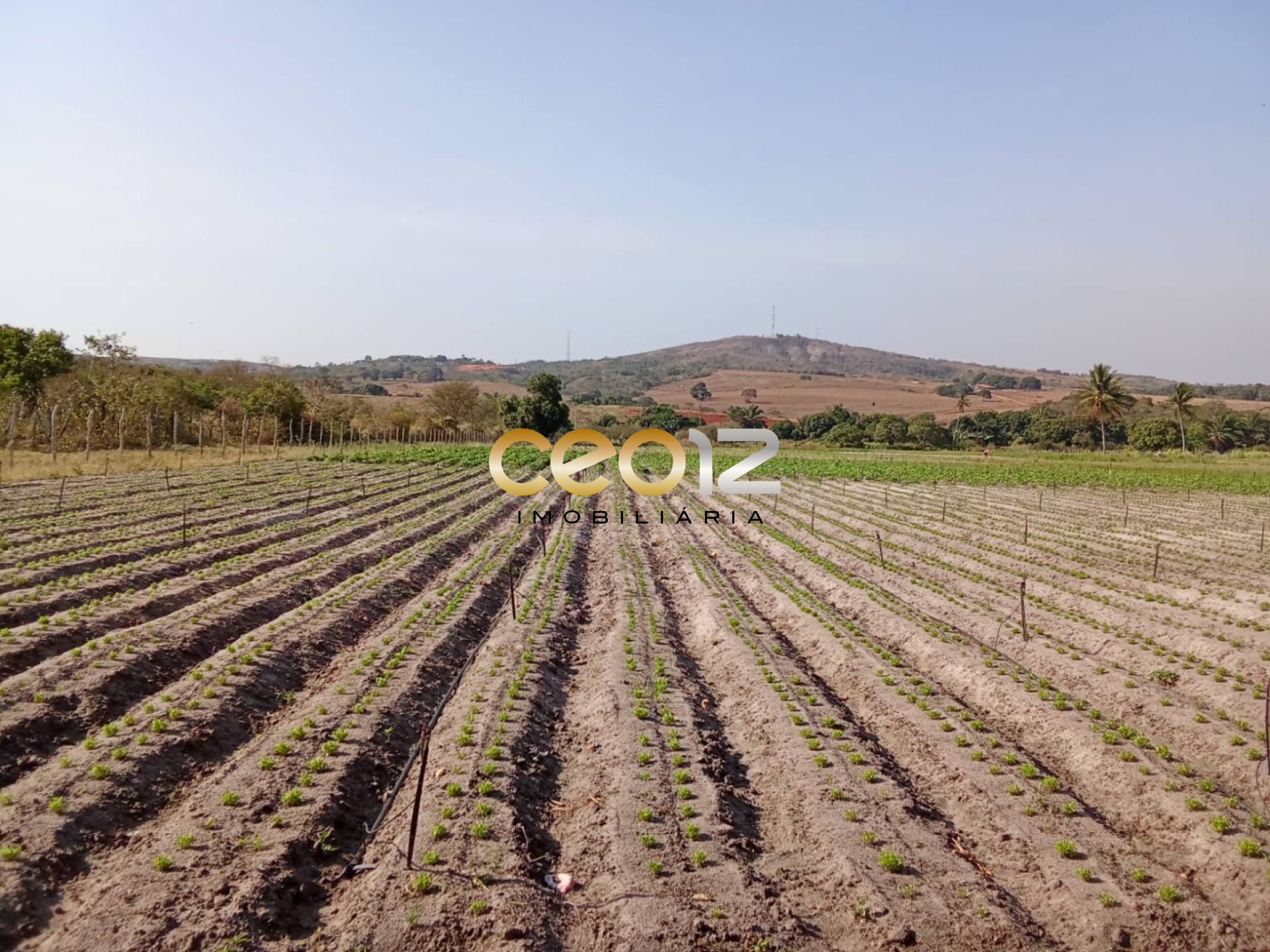 Vendo Sítio no Povoado Cajaiba - Itabaiana/SE