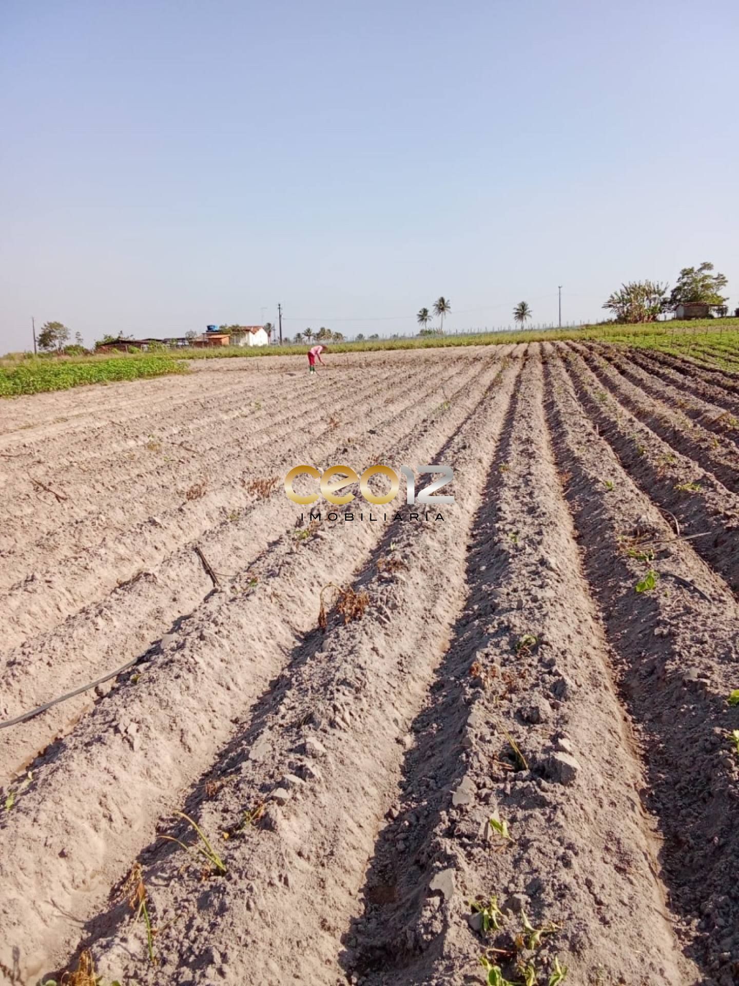 Vendo Sítio no Povoado Cajaiba - Itabaiana/SE