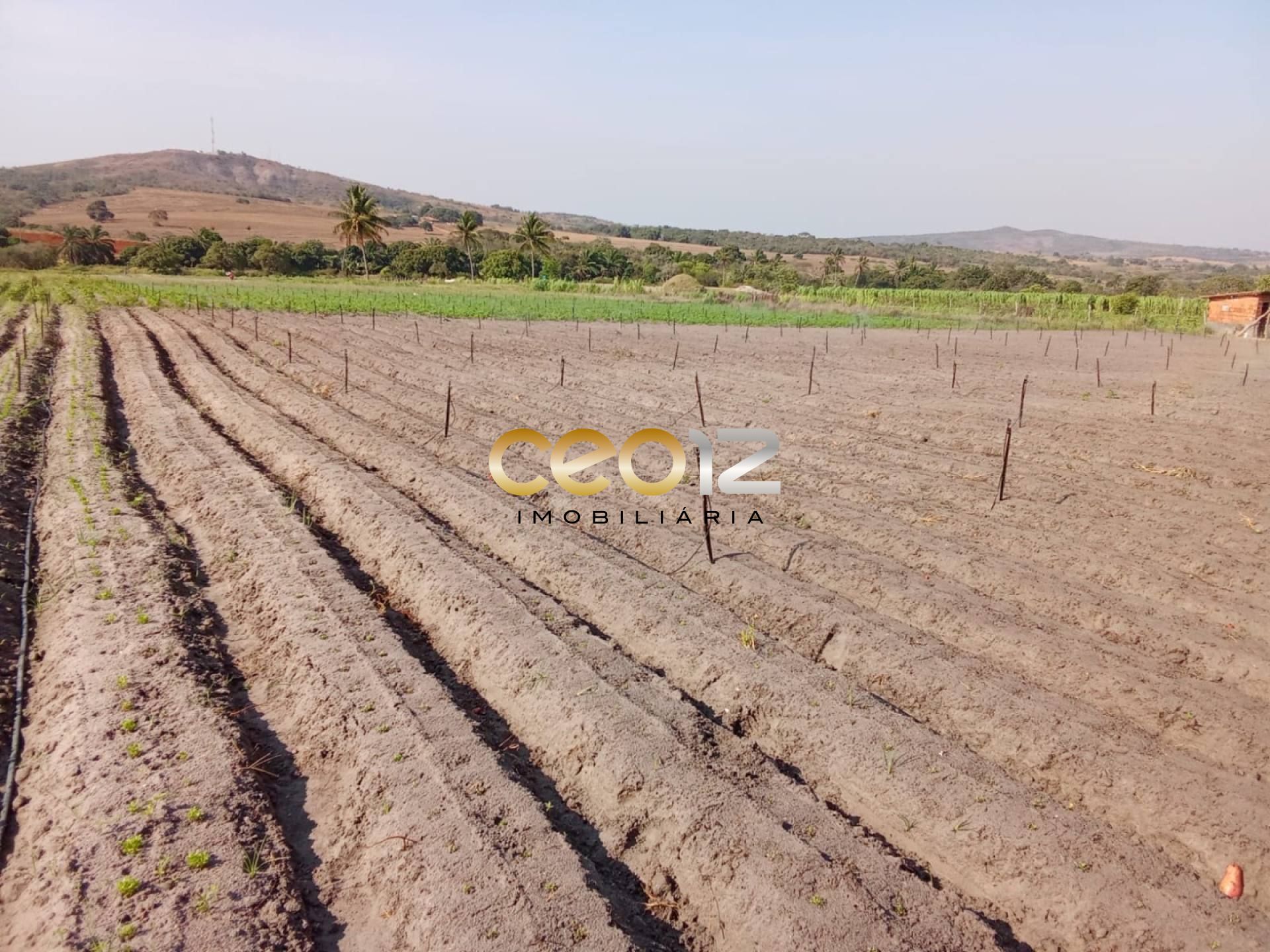 Vendo Sítio no Povoado Cajaiba - Itabaiana/SE