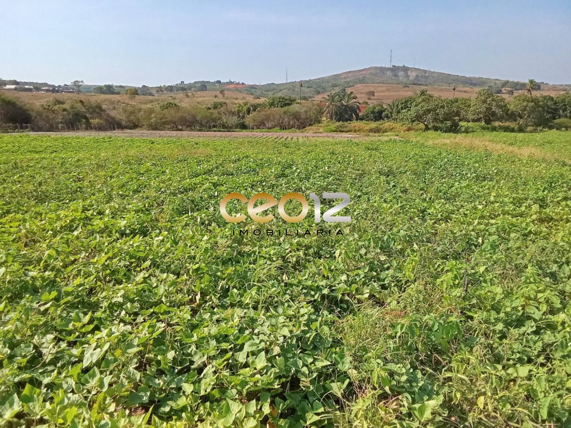 Vendo Sítio no Povoado Cajaiba - Itabaiana/SE