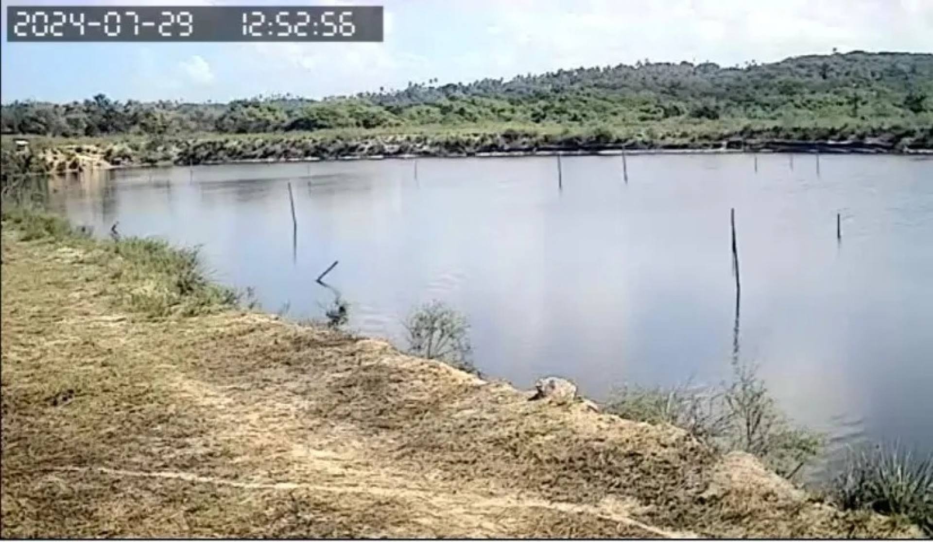 Vendo Fazenda em Estância