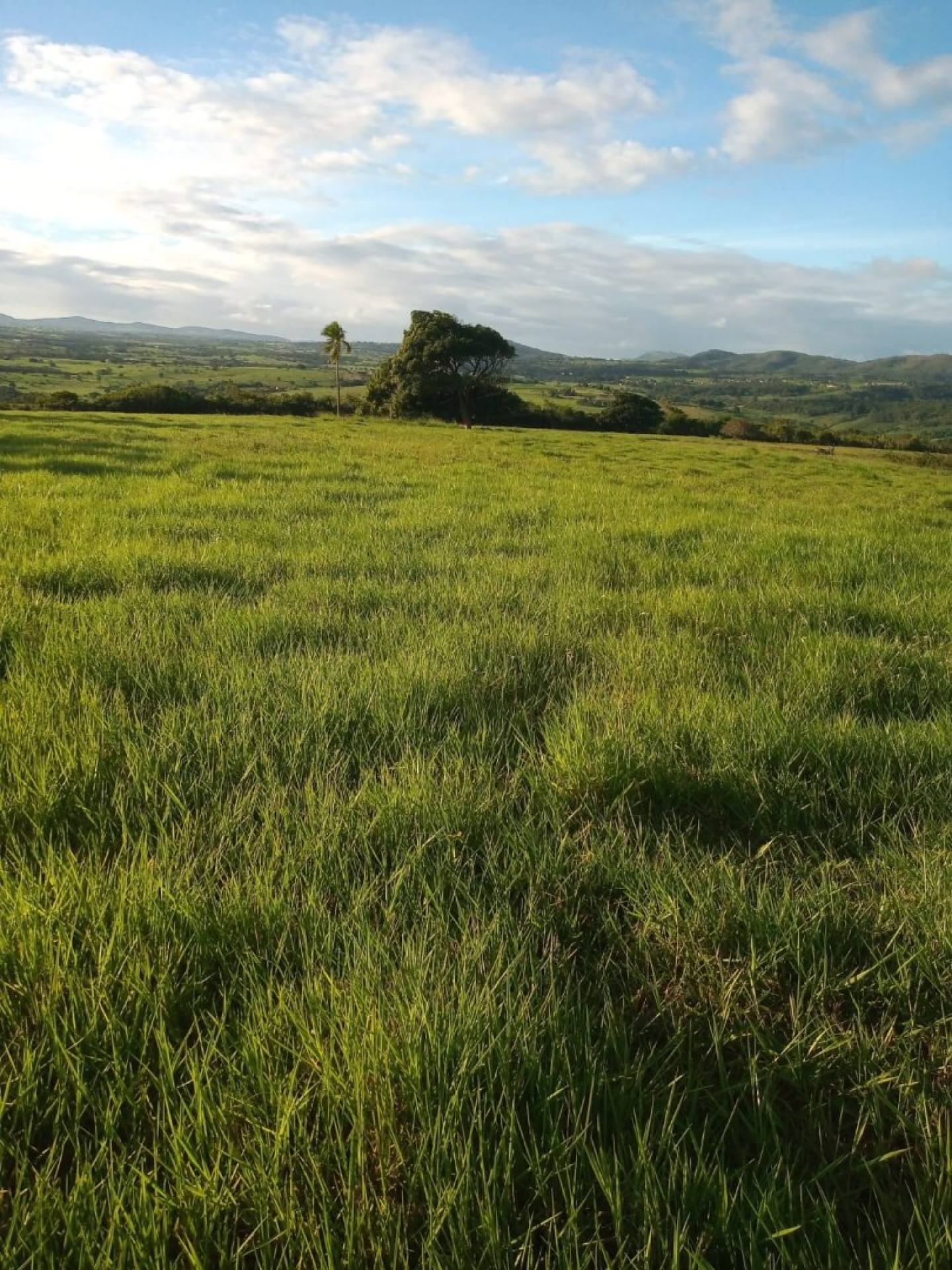 VENDO LOTE NO POVOADO BOM JARDIM - ITABAIANA/SE
