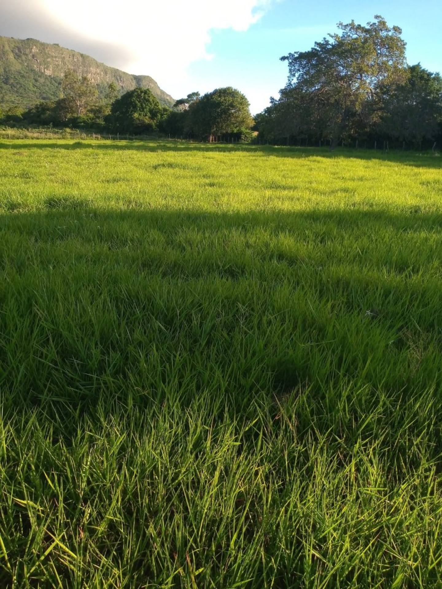 VENDO LOTE NO POVOADO BOM JARDIM - ITABAIANA/SE