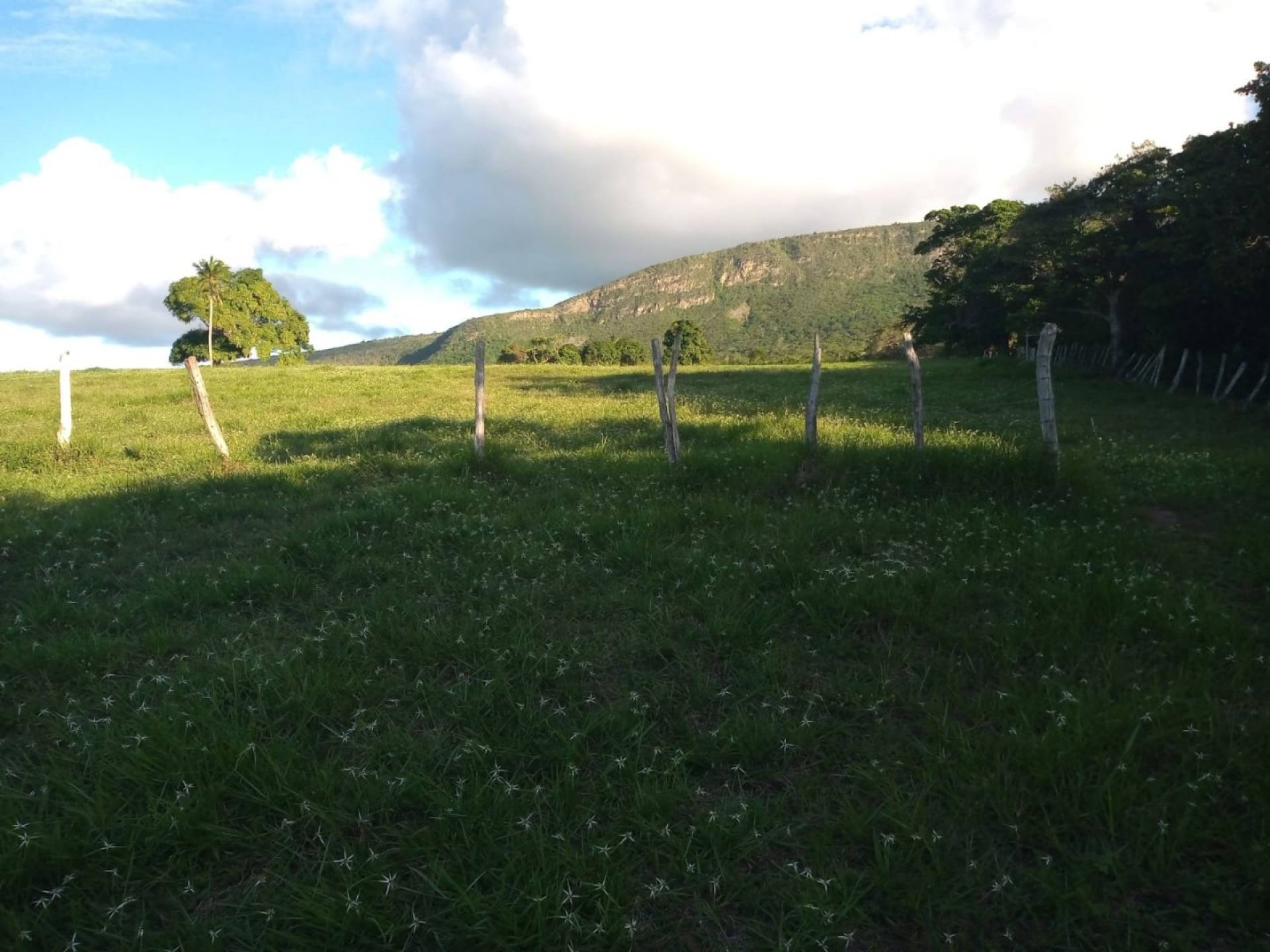 VENDO LOTE NO POVOADO BOM JARDIM - ITABAIANA/SE