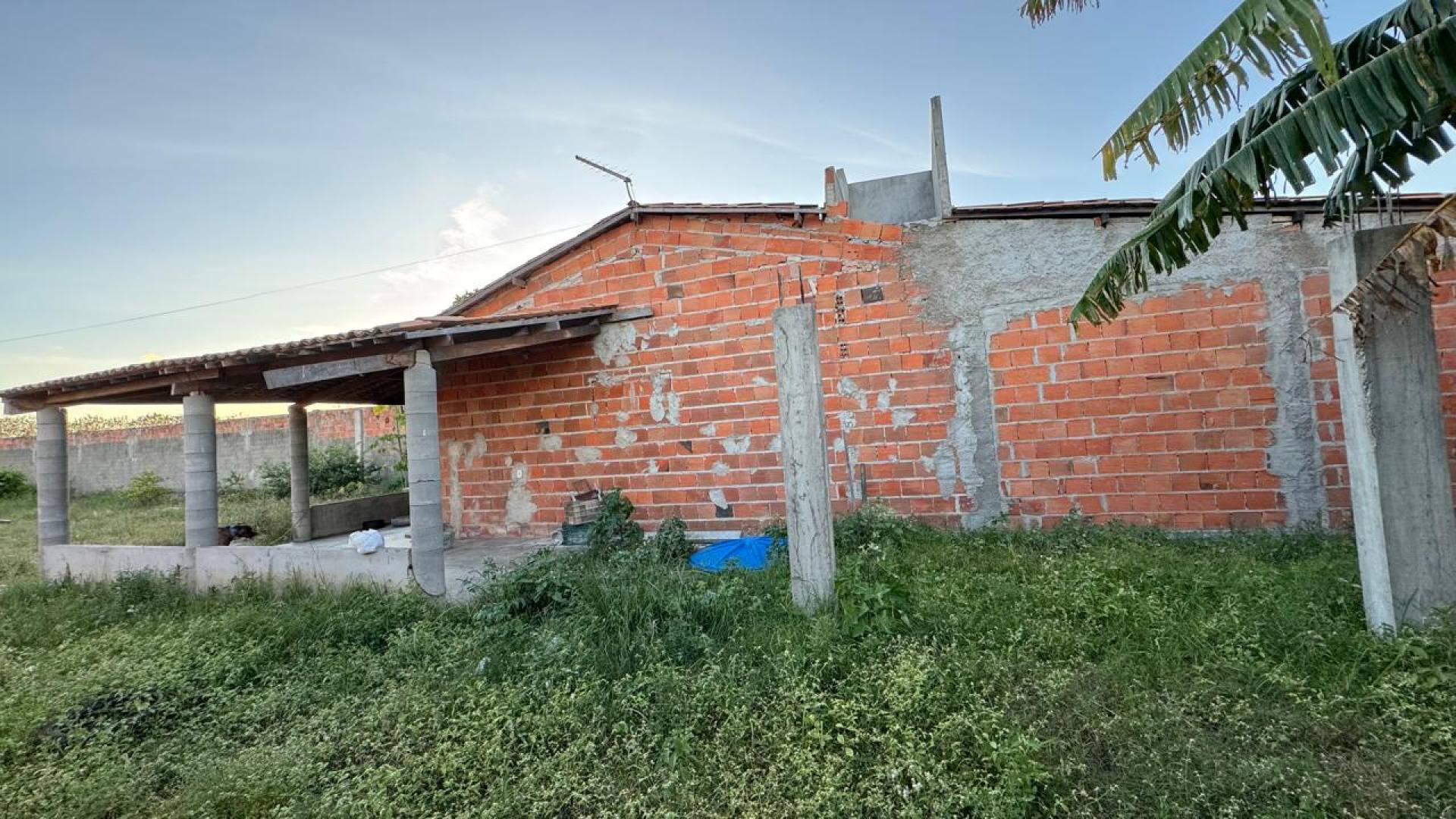 VENDO CHÁCARA NO POVOADO CARRILHO - ITABAIANA/SE