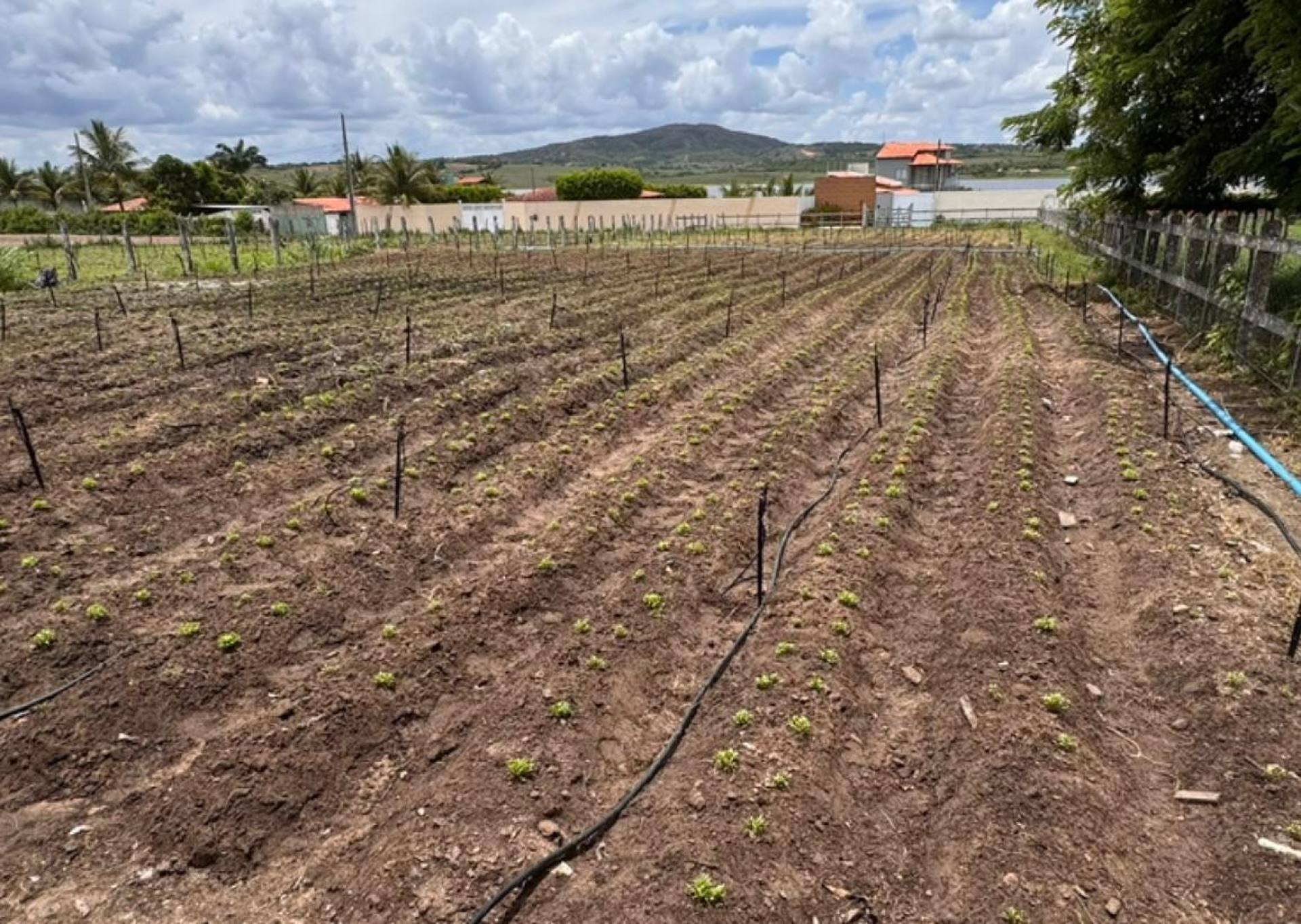 Vendo lotes para Chácara na Barragem Cajaíba