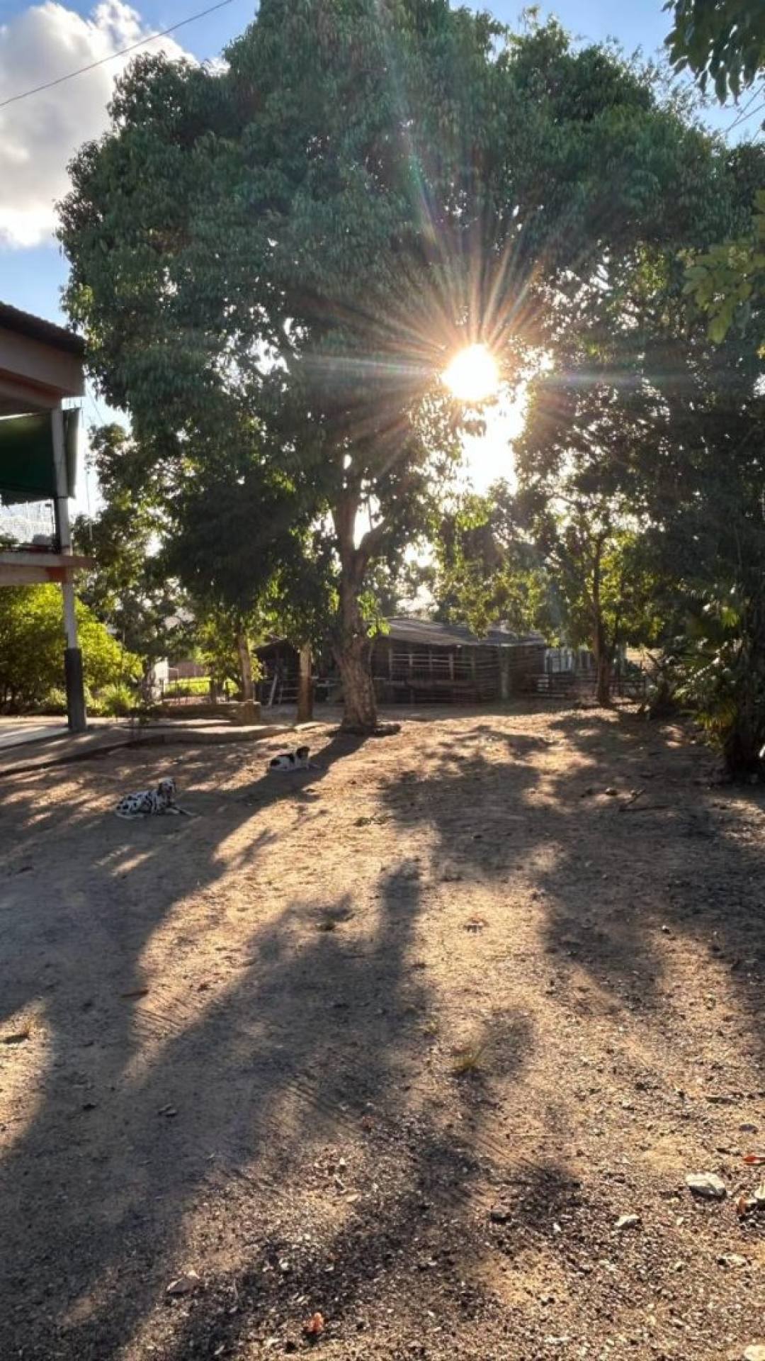 Vende-se Chácara na Zona Rural - Itabaiana/SE