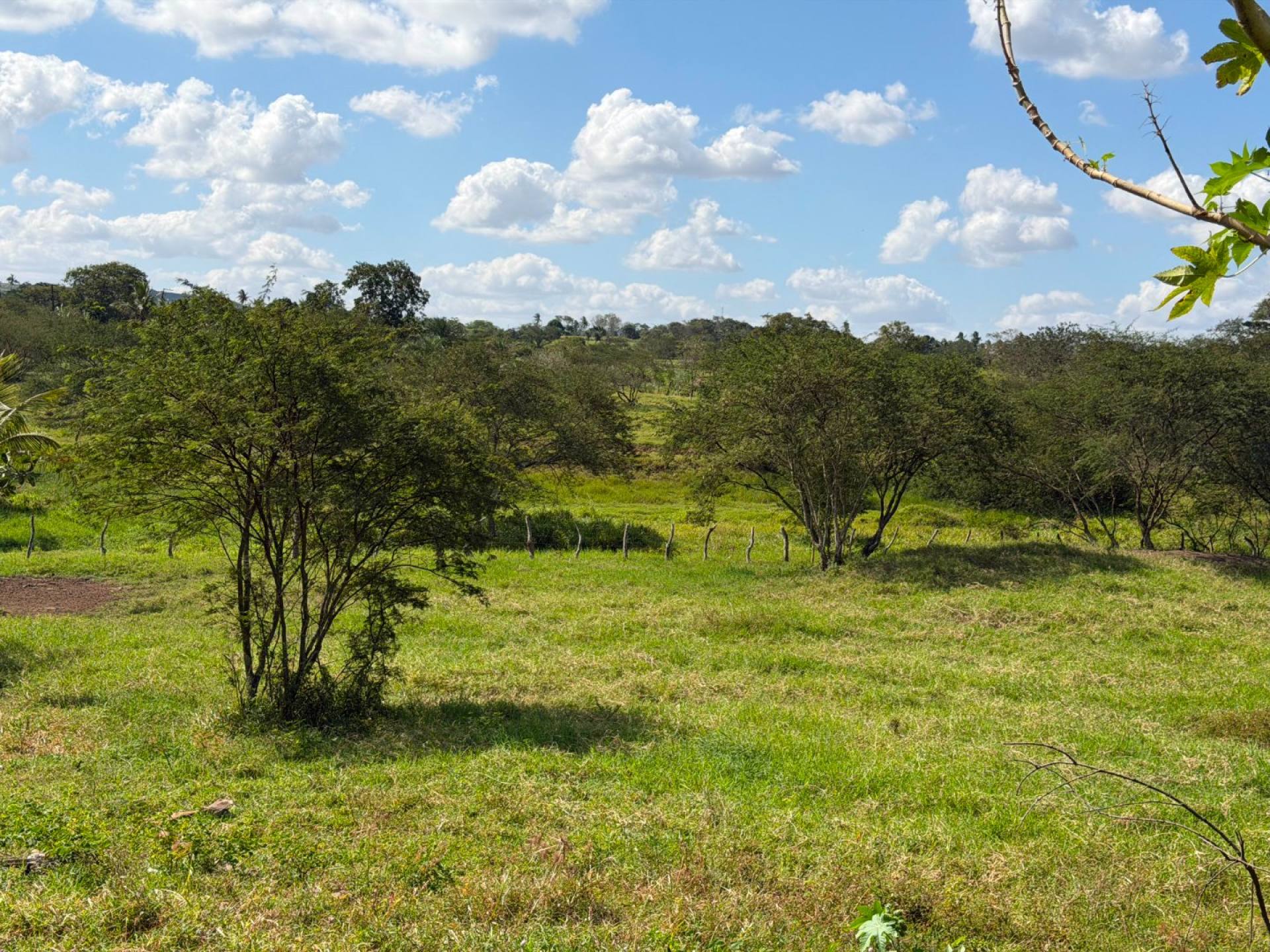 SÍTIO À VENDA – POVOADO CAATINGA REDONDA