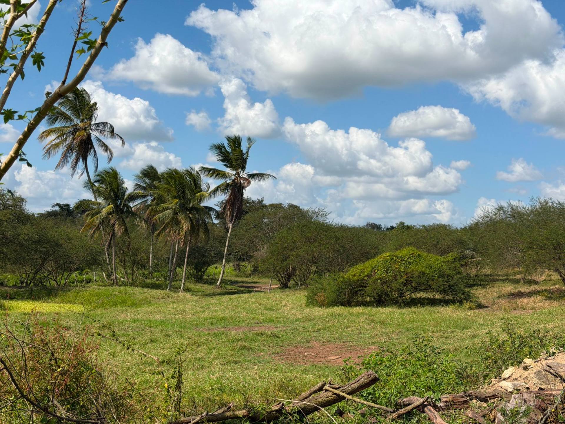 SÍTIO À VENDA – POVOADO CAATINGA REDONDA