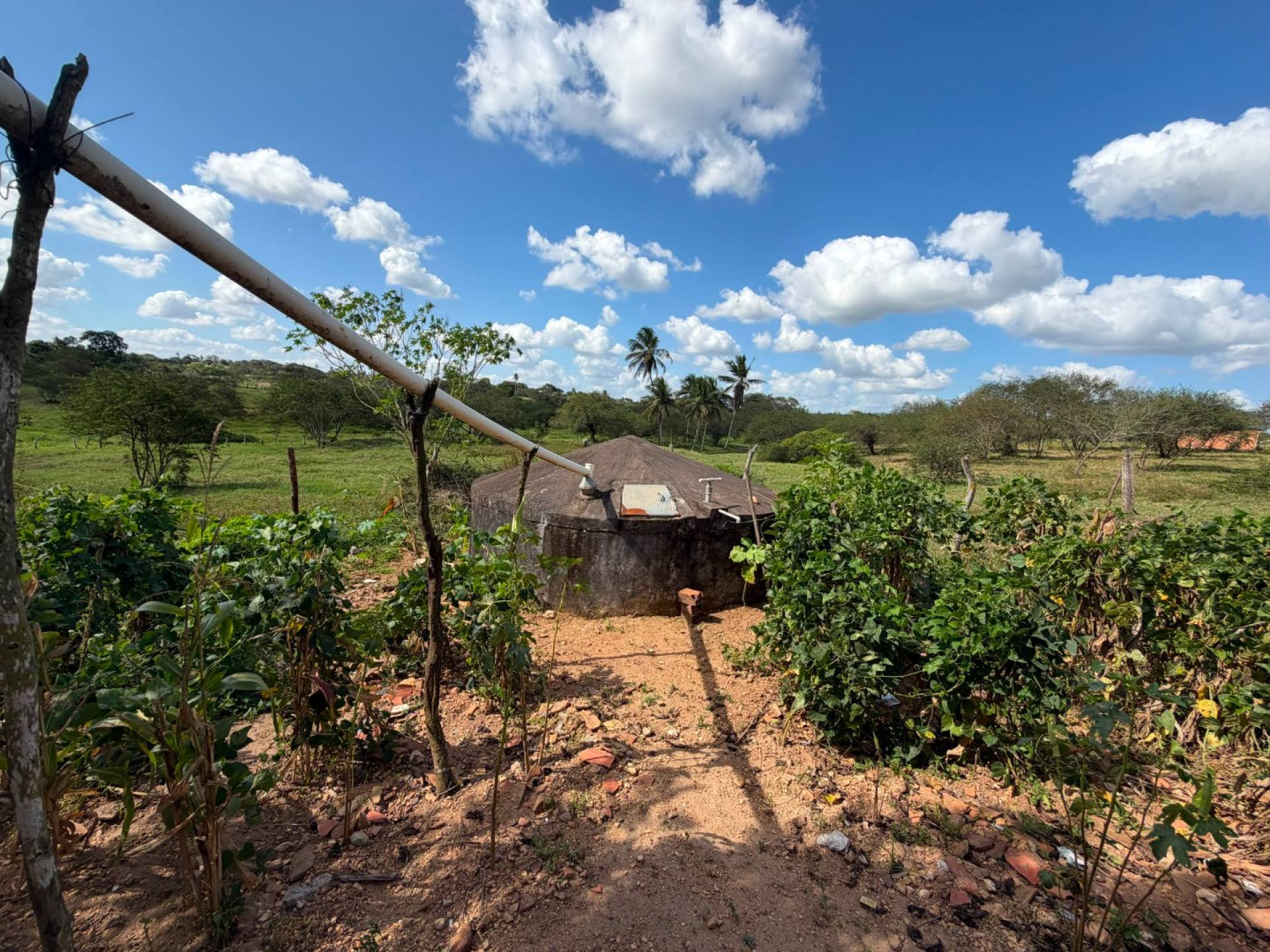 SÍTIO À VENDA – POVOADO CAATINGA REDONDA