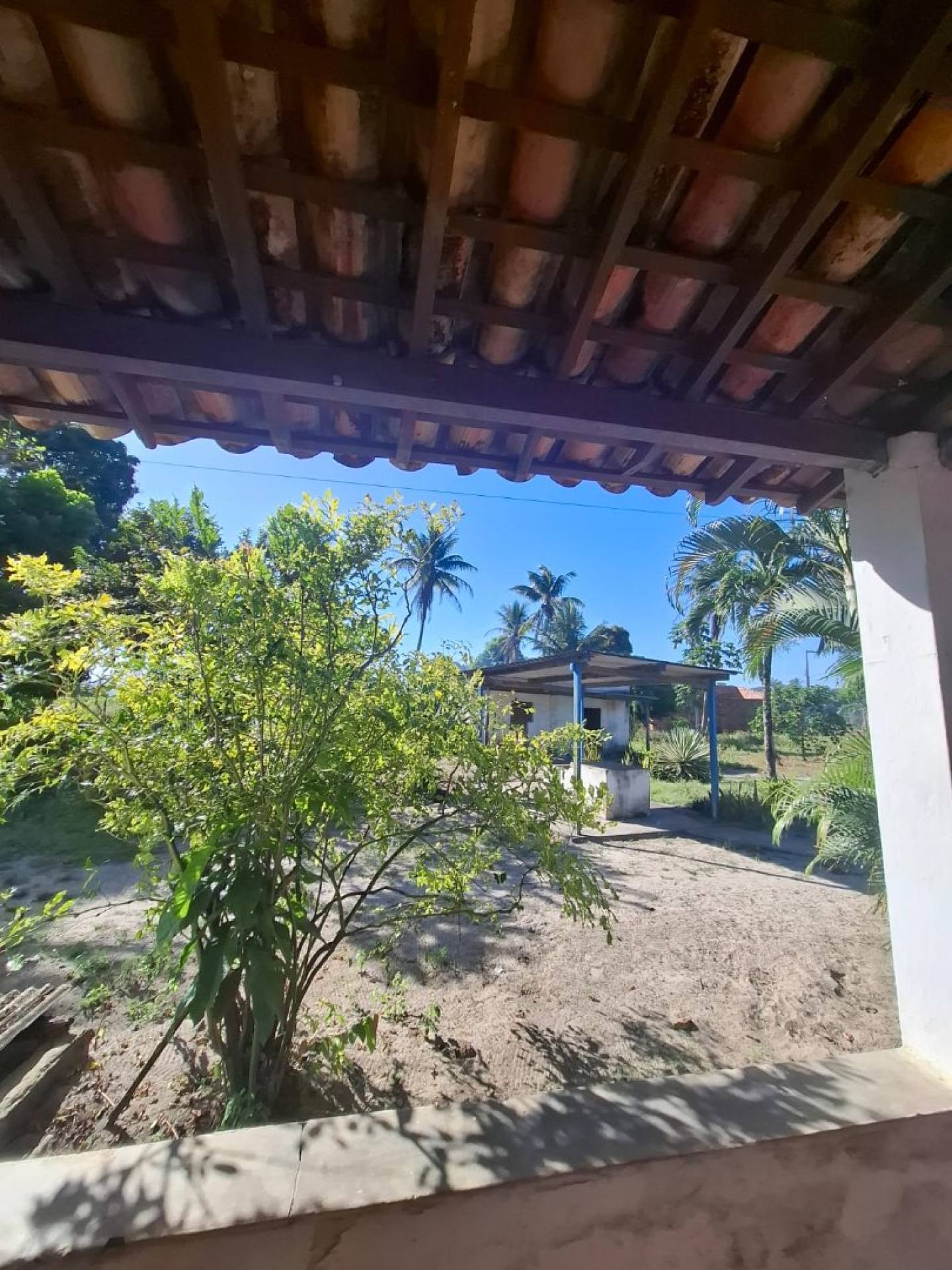 Vende-se Sítio em Areia Branca/SE