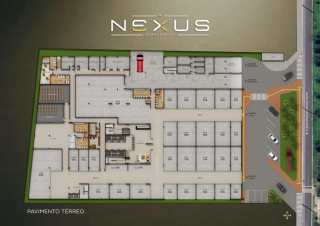 Nexus Empresarial