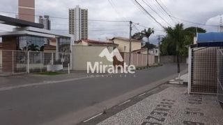 Casa Para Vender com 8 quartos sendo 2 suítes no bairro Santa Mônica em Feira De Santana