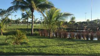 Terreno à venda, 323 m² no DAMHA por R$ 230.000 - Registro - Feira de Santana/BA