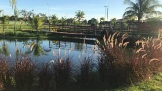 Terreno à venda, 323 m² no DAMHA por R$ 230.000 - Registro - Feira de Santana/BA
