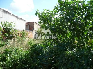 Lote / Terreno de Bairro Para Vender no bairro Jardim Cruzeiro em Feira De Santana