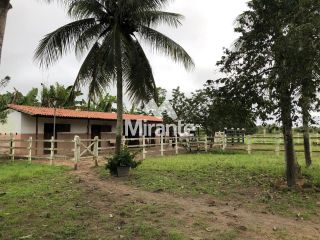 Sítio Para Vender com 3 quartos sendo 1 suítes no bairro Magalhães em São Gonçalo Dos Campos
