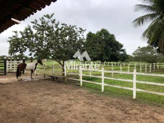 Sítio Para Vender com 3 quartos sendo 1 suítes no bairro Magalhães em São Gonçalo Dos Campos