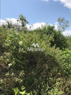 Lote / Terreno de Bairro Para Vender no bairro Lagoa Salgada em Feira De Santana