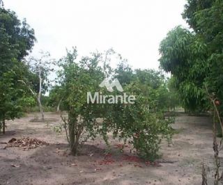 Fazenda Para Vender no bairro Asa Branca em Feira De Santana