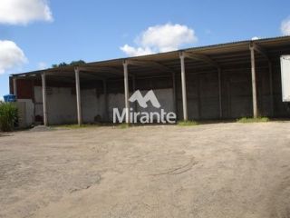 Galpão / Depósito / Armazém Para Vender no bairro Santa Mônica em Feira De Santana